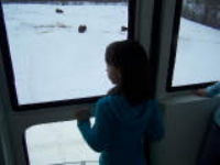 100_5283.jpg